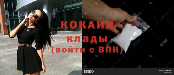кокс Елизово