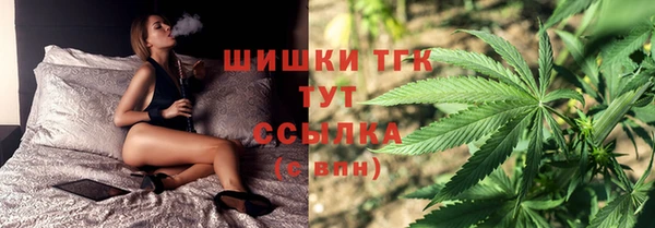 кокс Елизово