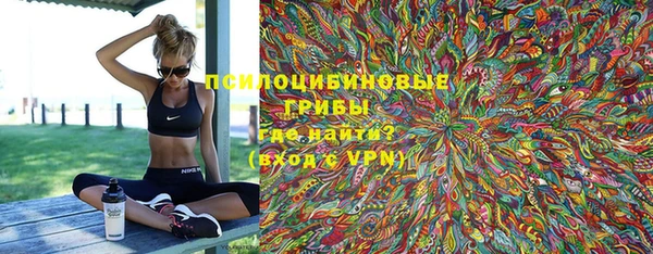 кокс Елизово