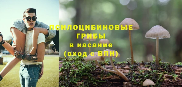 каннабис Ельня